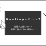 【英語学習】Duolingo(デュオリンゴ)って実際どうなの？